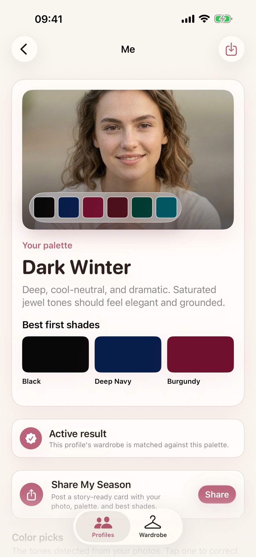 Color Analysis app showing a Dark Winter palette result